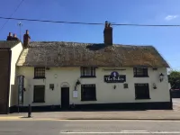 The Dukes - WiFi