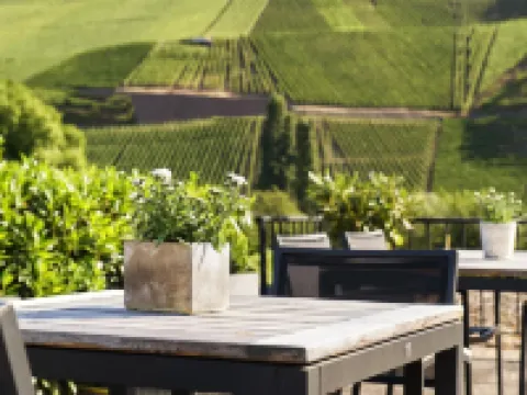 Weingut & Gästehaus Christoph Clüsserath Hotels in Trittenheim