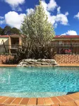 Ambassador Orange - Pools