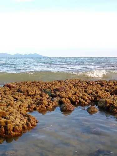 รูปภาพของเกาะมุกโฮสเทล