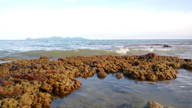 รูปภาพของเกาะมุกโฮสเทล