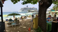 Ocho Rios Getaway Villa at The Palms - Villas