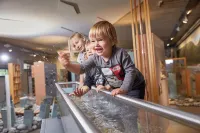 Burgenwelt Ehrenberg Dependance 2 Hotels in Lermoos