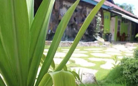 Malompek Отели в г. Паданг-Париаман