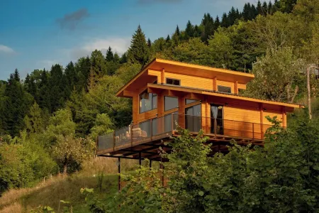 Hill Inn Отели в г. Силибаури