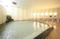 Hotel Alpen Blick Hotels in Myoko