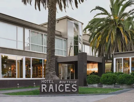 Hotel Boutique Raíces Отели в г. Курико