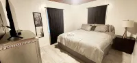 Charming 2- bedroom house in Tampa with a pool, WiFi & 5 mins from Bush Gardens