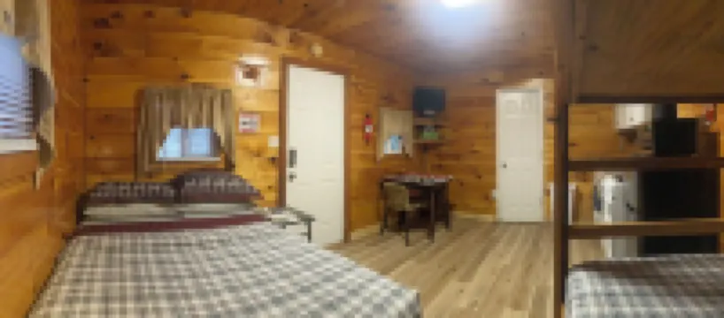 Cozy & efficient cabin w/ river access. Pet Friendly!