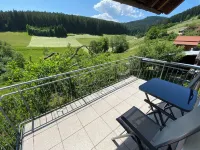 Baiersbronn, Black Forest, Schwarzwald, view, 2 rooms, sun, balcony, quietness
