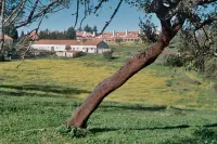 Calipo Hotels in Alandroal