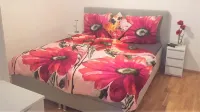 Studio Apartment in the Heart of Graz's Old Town -Kitchen, Bathroom, WC, Balcony