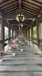 sakura - Villas