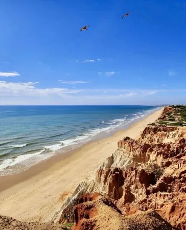 2 bed room apartment with direct Pool access and terrace Отели рядом с достопримечательностью «Пляж Фалезия»