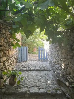 La Petite Figuière, des Lille Nus Mes Figentraeet