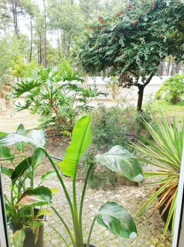 Villa in Aroeira / Verdizela - Pool, Beach, Surf, Golf