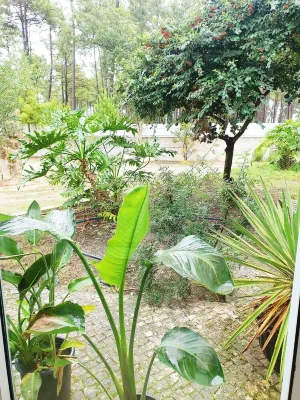 Villa in Aroeira / Verdizela - Pool, Beach, Surf, Golf