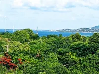 Hidden by beautiful palm and flamboyant trees but close to restaurants & stores
