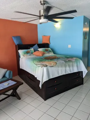 SEA TURTLE COVE ST CROIX -NO PASSPORT