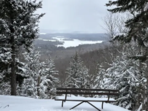 Cozy home in the ADK, amazing location!