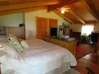 Pinecrest Cabin- a relaxing mountain cabin close to town