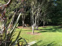 Bush Edge Studio Hoteles en Whangamata