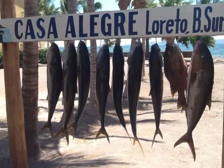 Escape To An Ocean Front Five Star Paradise : A 10 minute walk into Loreto