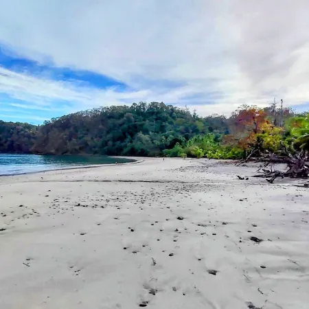 Paradise Found! Character filled close to beach, forest and amenities