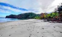 Paradise Found! Character filled close to beach, forest and amenities