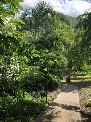 Orchid at Casa Tre Fiori - Peaceful Paradise! Hotels in 