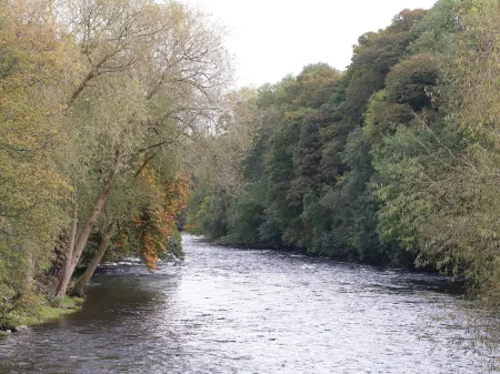 Dovetail Cottage Отели рядом с достопримечательностью «Blackwood's»