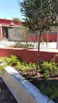 B&B Vecchia Darsena - Homestays