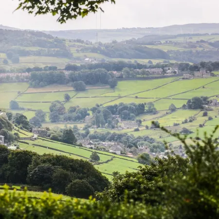 Upper Highlees Farm