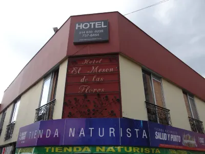 Hotel Meson de las Flores Hotels near Materiales Don Carlos