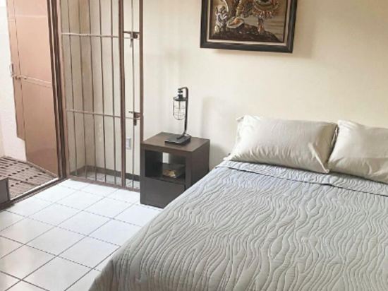 New Apt in Centro Gdl Near Cathedral & Attractions