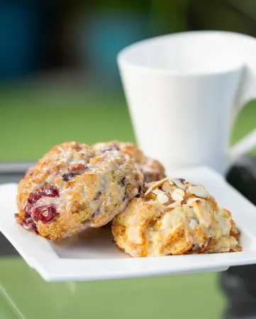 Coconut Bay Resort - Key Largo Отели рядом с достопримечательностью «Dolphins Plus - Key Largo»