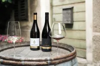 Schloss Plars Wine & Suites - bar