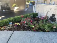 Auburn Motel Hotels in Auburn