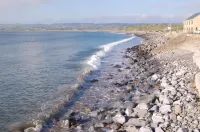 Shamrock Inn Hotel Hotels in Doolin