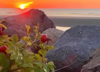 Bourne Bed and Breakfast - Beach