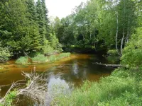 Cabins on Maple River