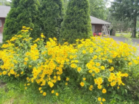 Hudson Valley 9w Motel Hotels in Ulster