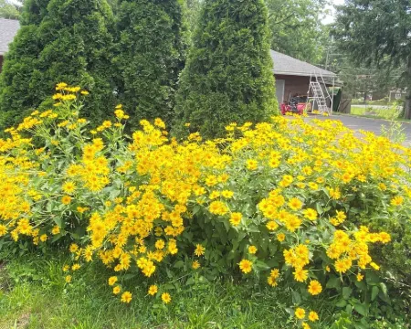 ハドソンバレー9wモーテル アルスターのホテル