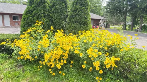 Hudson Valley 9w Motel Hotels in Ulster