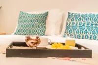 Loreto80- NEW Studio Cactus, in downtown by beach Hotels near Gecko's Curios