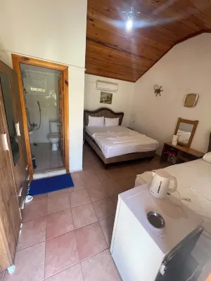 Priene Pansiyon Hotels in Davutlar