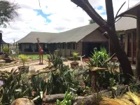 Tau Game Lodge Hotels in Zeerust