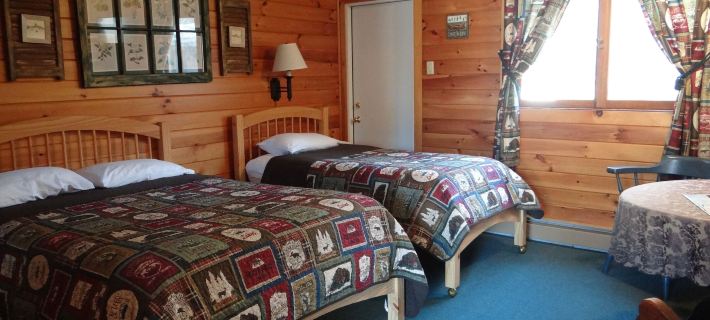 Blue Gentian Lodge at Magic Mountain Hotels in Windham County
