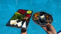 Olive Tree Hotel