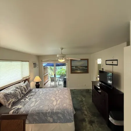 Taro: One of Two Studios / Secluded Pool Oasis at Walelia Getaway - South Kaua'i